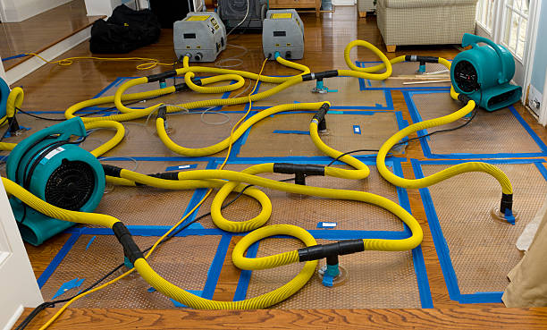 Professional Water Damage Repair technician working in Calera, OK